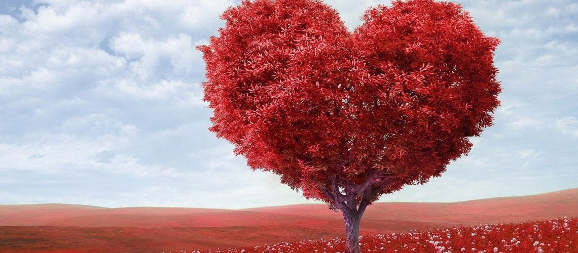 heart-shape-1714807 (1)